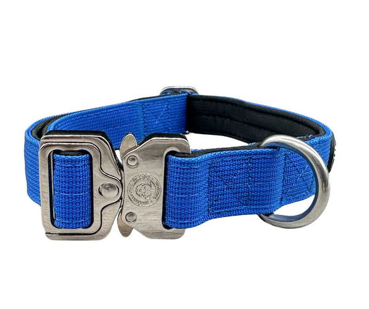 2.5cm Nylon BTactical™ Collar | Royal Blue - The Bark Market