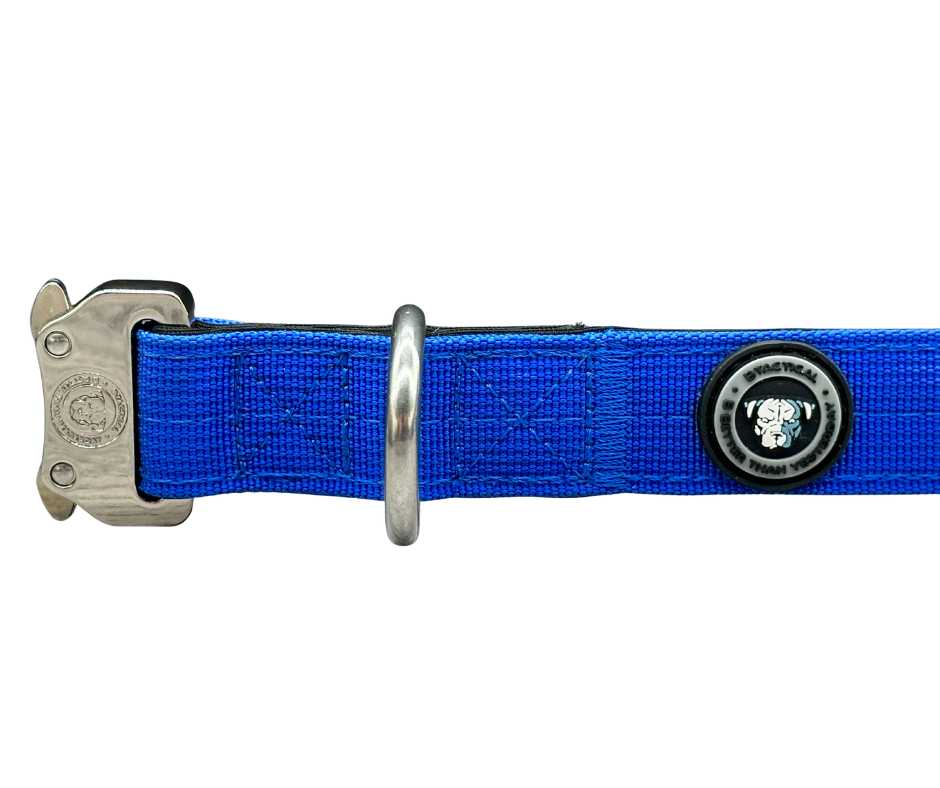 2.5cm Nylon BTactical™ Collar | Royal Blue - The Bark Market