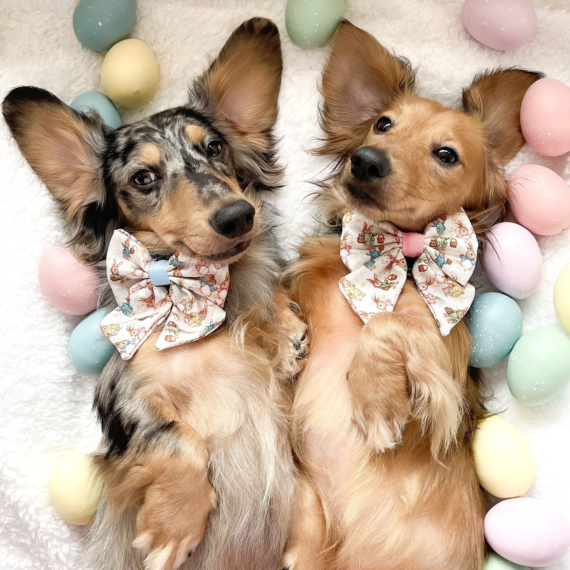 Bunny Tales - Blue, Dog Supaw Strong™ Lite Harness (XS-XL) - The Bark Market
