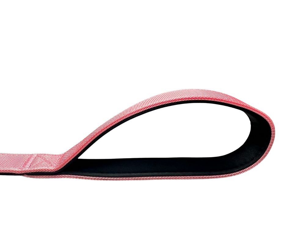 Nylon BTactical™ Carabiner Clip Lead | Pretty Pink - The Bark Market