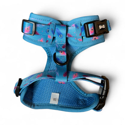 Power Peacock Step-In Adjustable Harness – Easy, Comfy & Made for Stylish Small Dogs! - The Bark Market