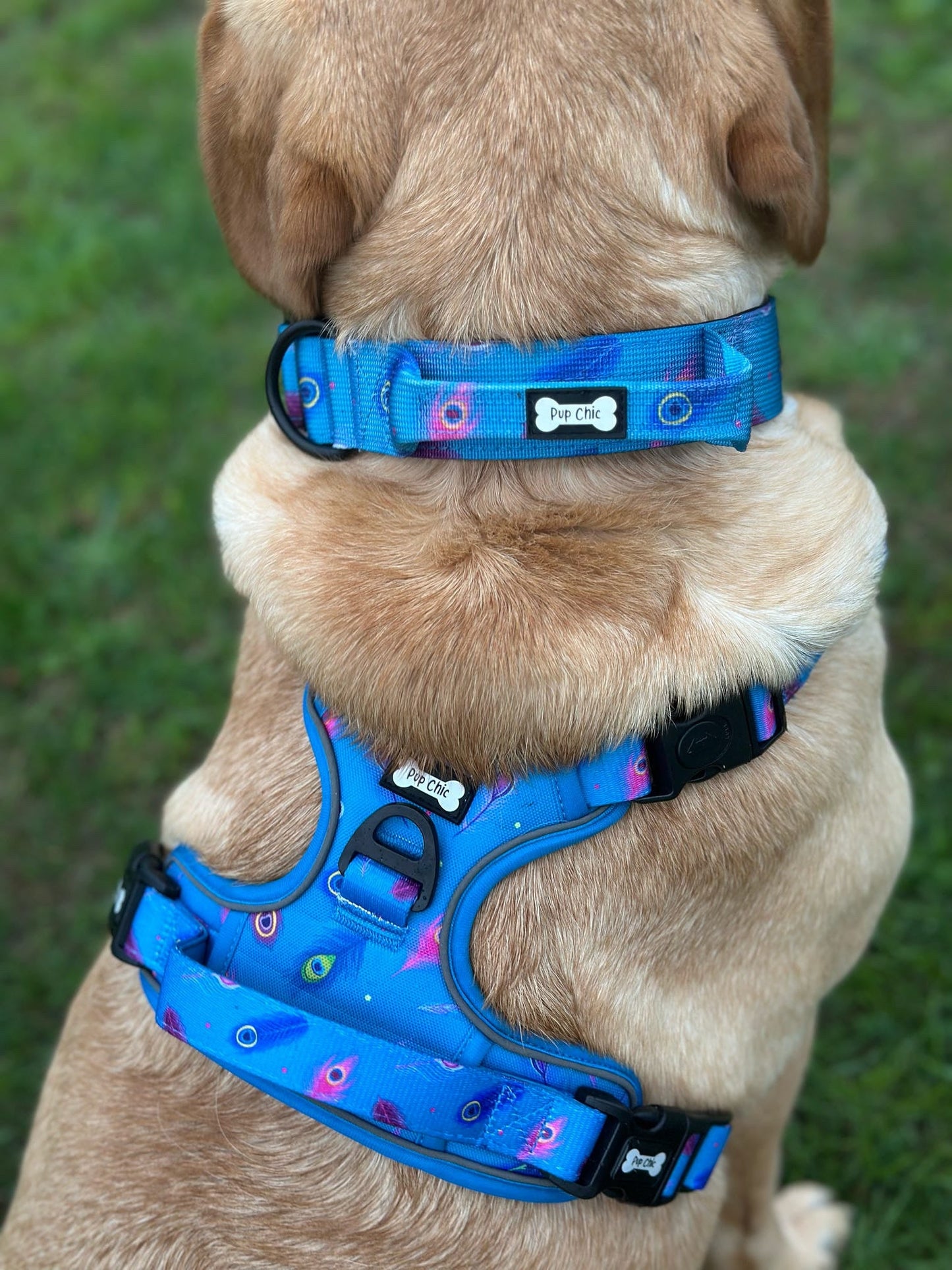 Power Peacock Tactical Dog Harness – No Pull & Fully Adjustable - The Bark Market