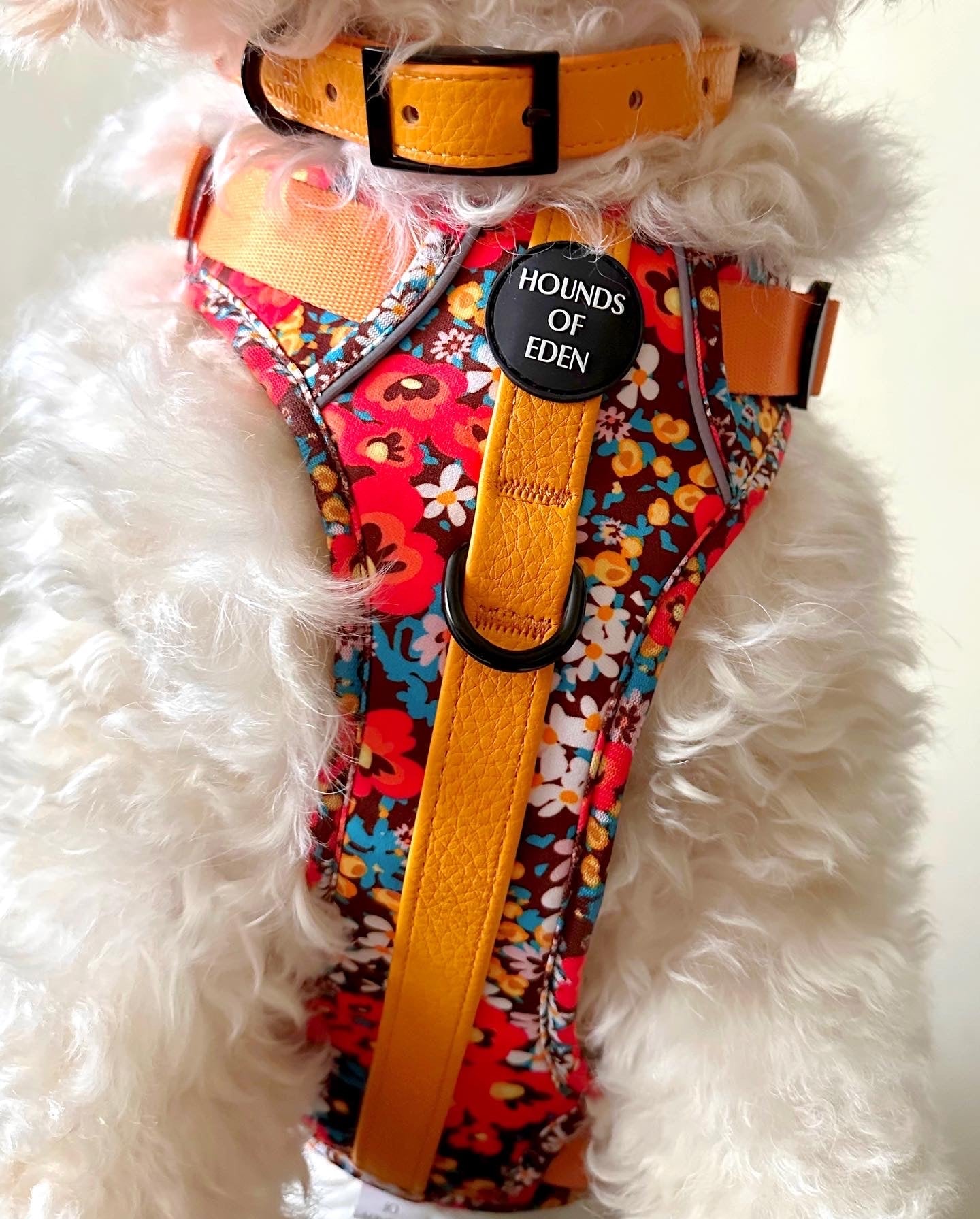 Retro Bloom Dog Supaw Strong Lite™ Harness (XS-XL) - The Bark Market