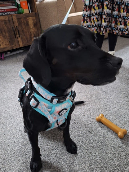 Rugged Rover™ Harness - Pastel Daisy - The Bark Market