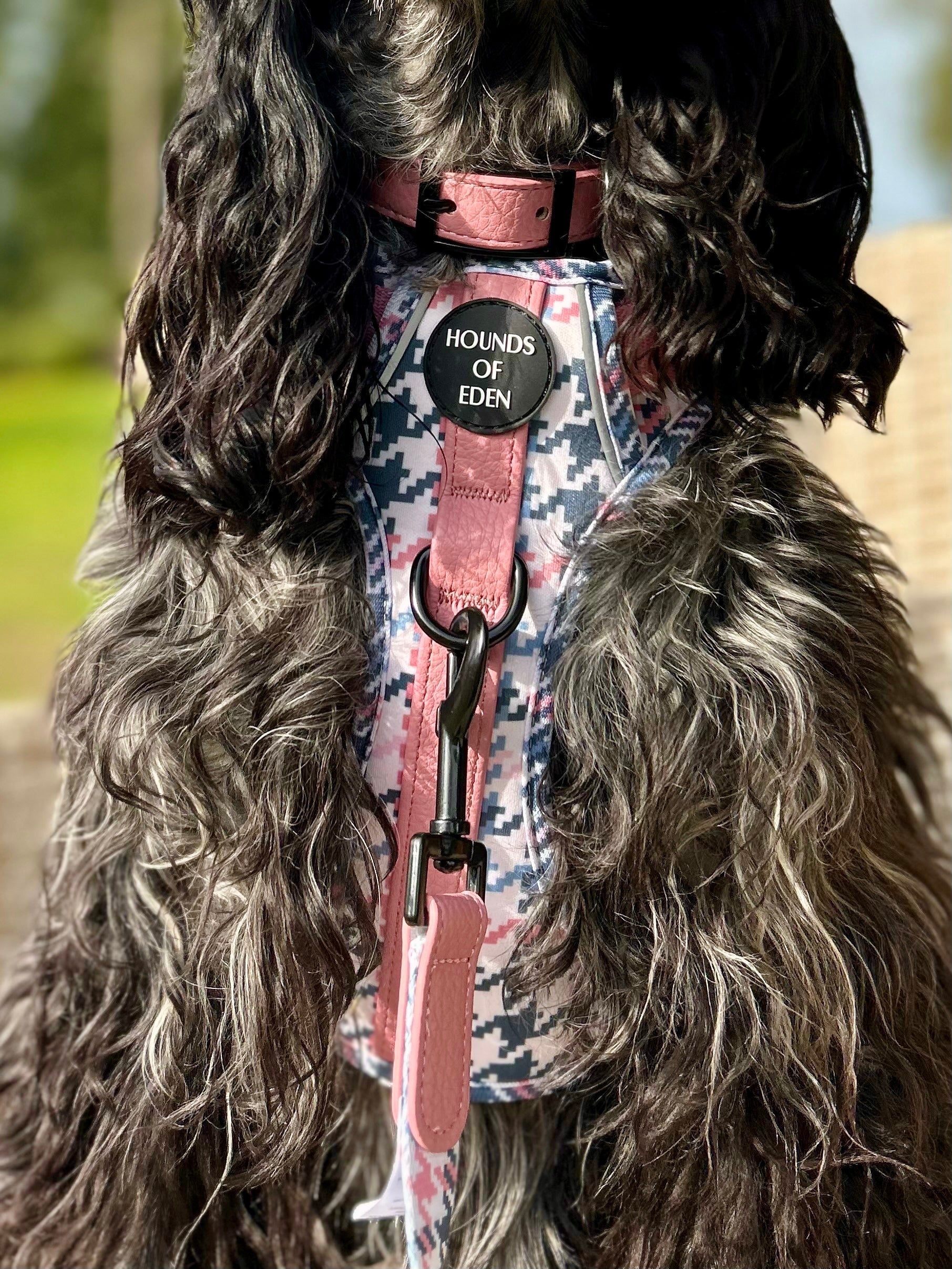 Pink Houndstooth Leather Dog Collar - The Bark Market