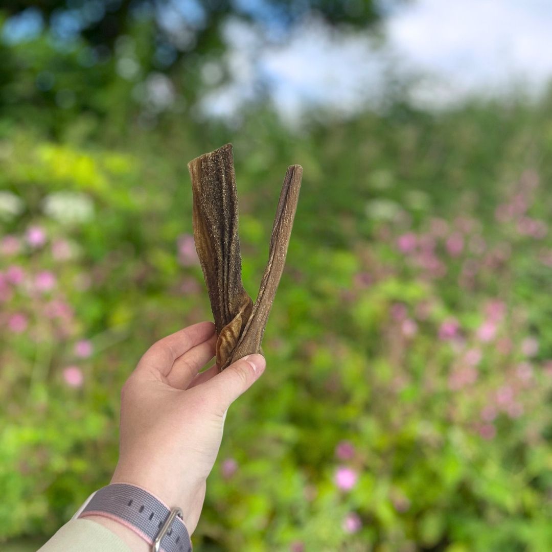 Beef Tripe sticks 100g - The Bark Market