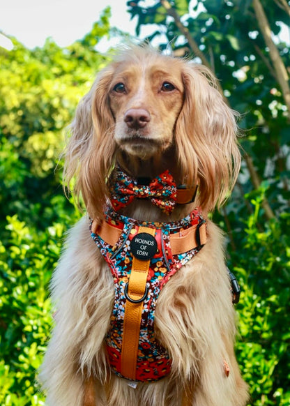 Retro BloomDesign Dog Bow Tie - The Bark Market