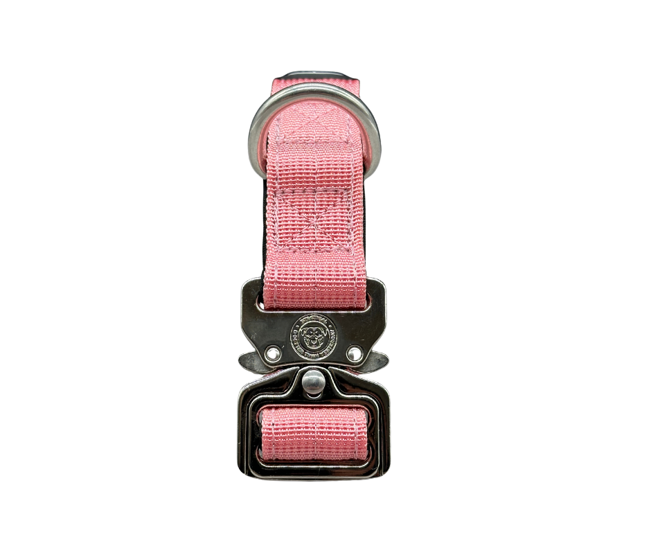 Puppy Nylon BTactical™ Collar | Pretty Pink - The Bark Market