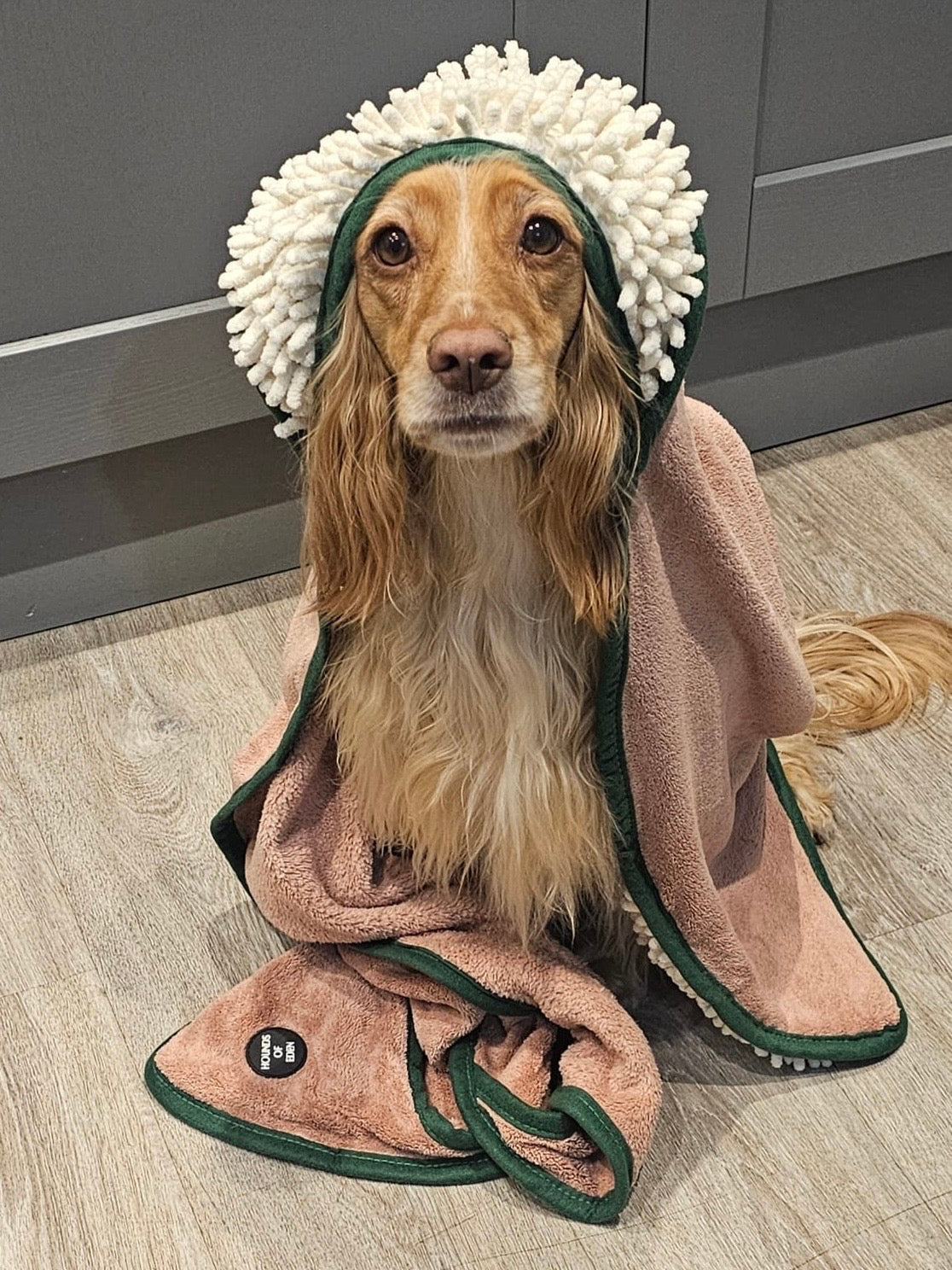 Bella's Jumper Dog Towel - The Bark Market