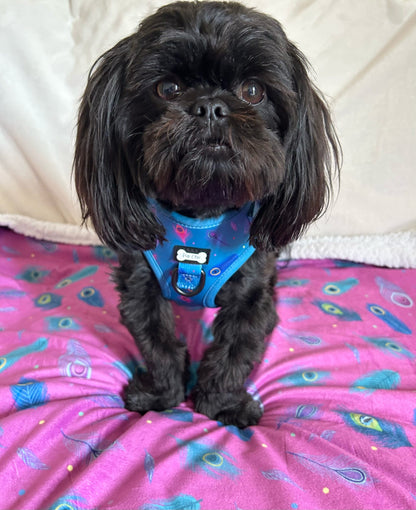 Power Peacock Step-In Adjustable Harness – Easy, Comfy & Made for Stylish Small Dogs! - The Bark Market