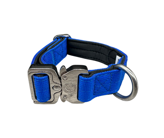 Puppy Nylon BTactical™ Collar | Royal Blue - The Bark Market