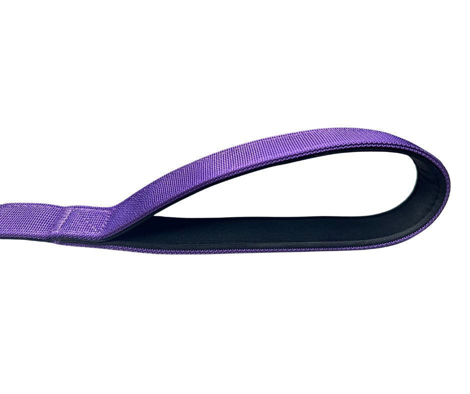 Nylon BTactical™ Carabiner Clip Lead | Lavender Purple - The Bark Market