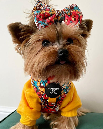 Retro Bloom Dog Harness (XXS & XS) - The Bark Market