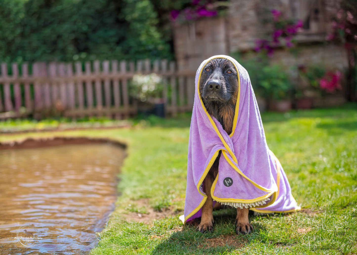Daisy Dreams - Dog Towel + Carry Bag - The Bark Market