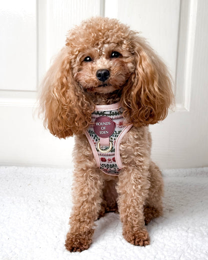 Bella's Jumper Dog Harness (XXS-XS) - The Bark Market