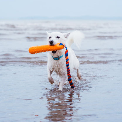 BOB: The 3-in-1 Dog Dummy - The Bark Market