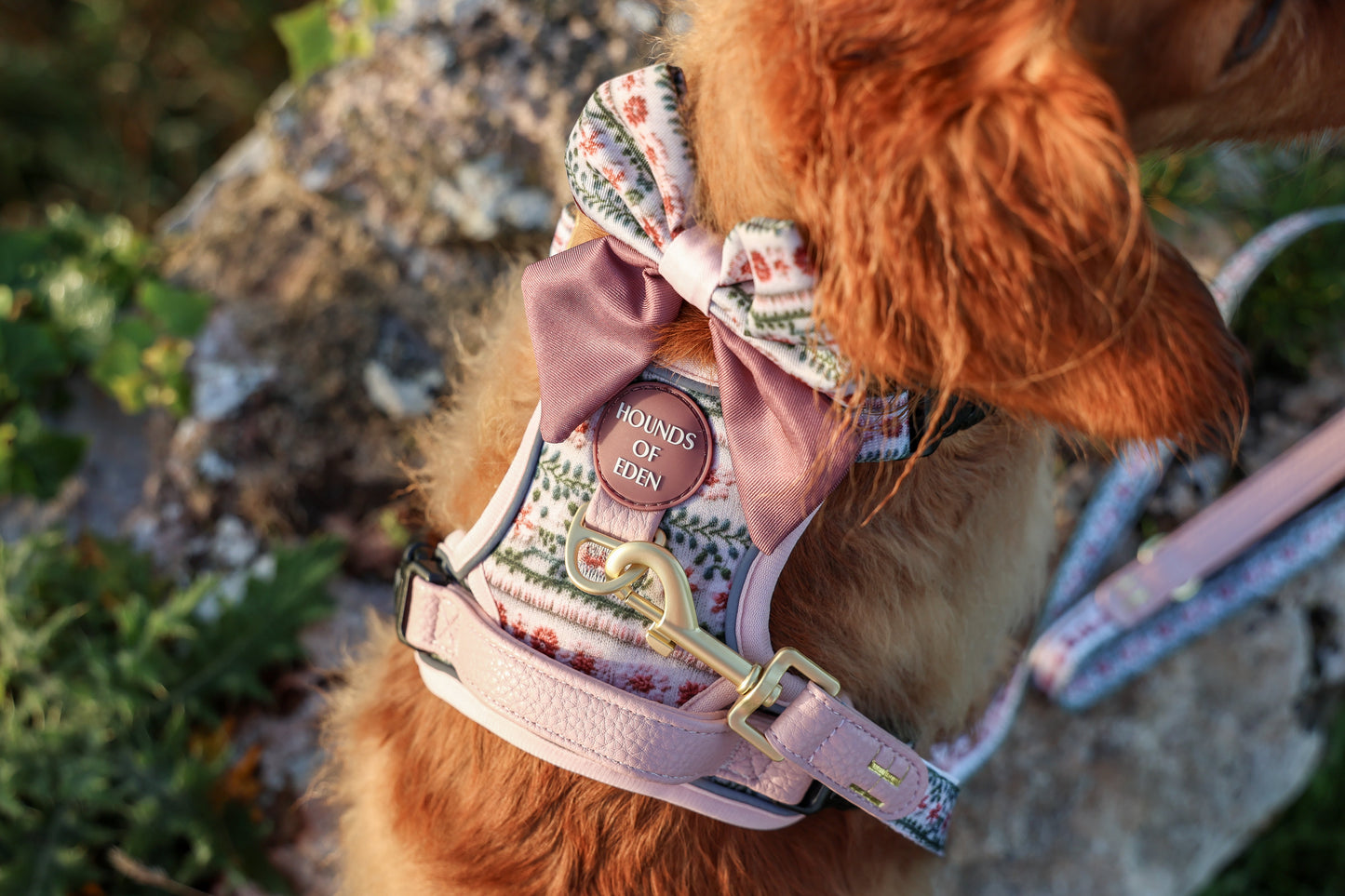 Bella's Jumper Dog Sailor Bow Tie - The Bark Market