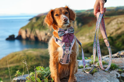 Bella's Jumper Supaw Strong Lite™ Dog Harness (XS-XL) - The Bark Market