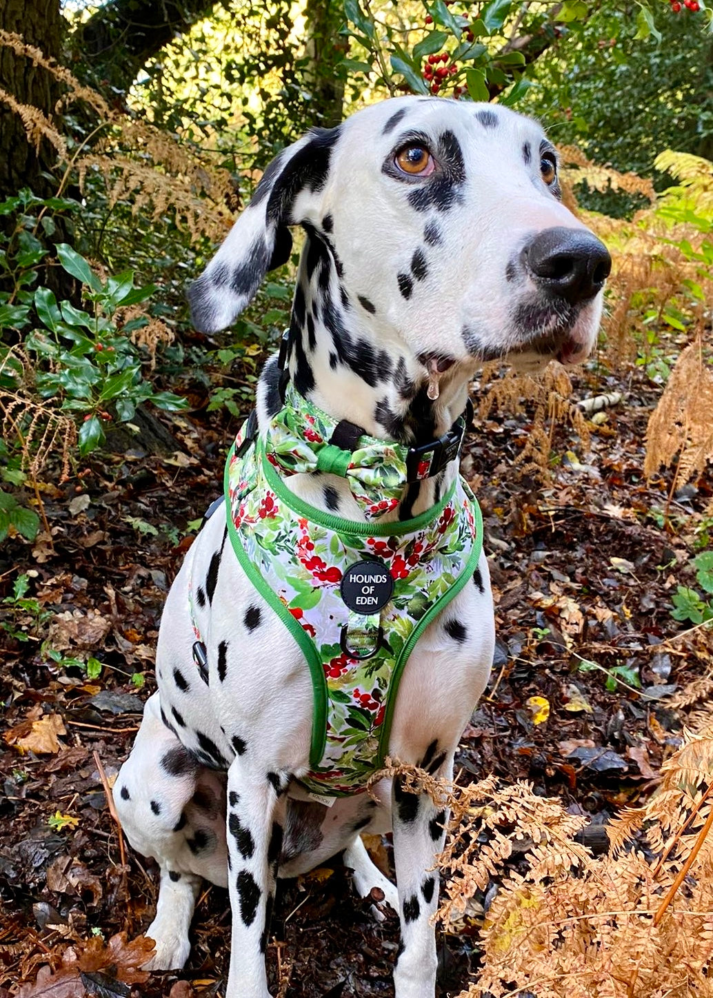 Winter Spruce & Berries Design Dog Bow Tie - The Bark Market