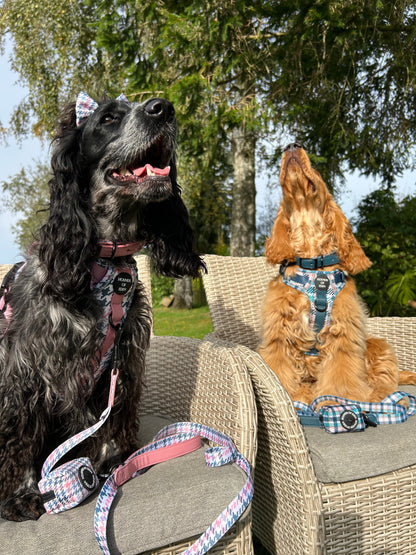 Tealing Smart Dog Supaw Strong Lite™ Harness (XS-XL) - The Bark Market