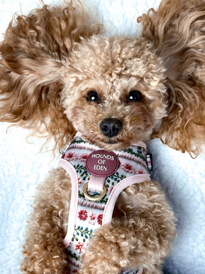 Bella's Jumper Dog Harness (XXS-XS) - The Bark Market