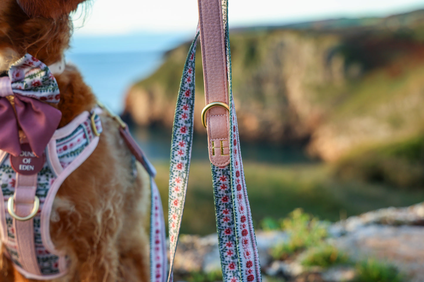 Bella's Jumper Supaw Strong Lite™ Dog Harness (XS-XL) - The Bark Market