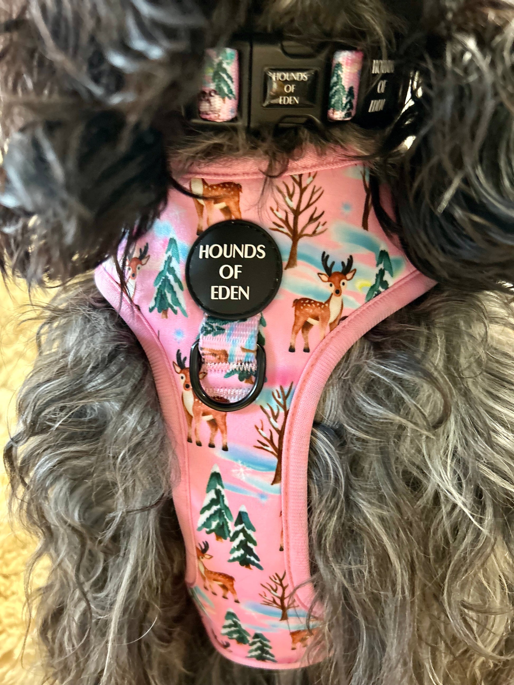 Aurora Nights - Pink Penguin Design Dog Harness - The Bark Market