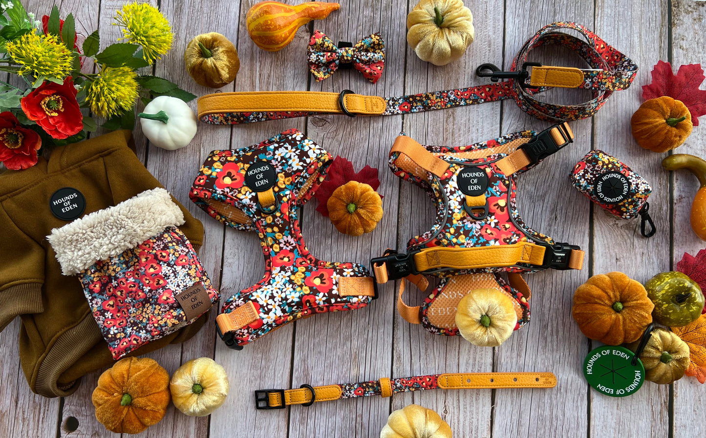 Retro Bloom Leather Dog Collar - The Bark Market
