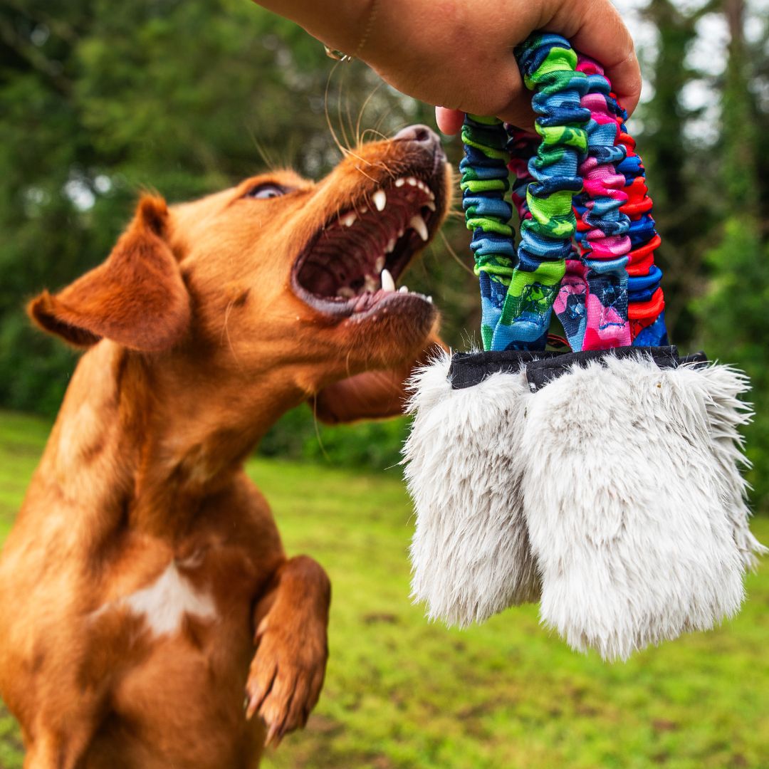 Faux Fur Pocket Bungee Squeaker - The Bark Market