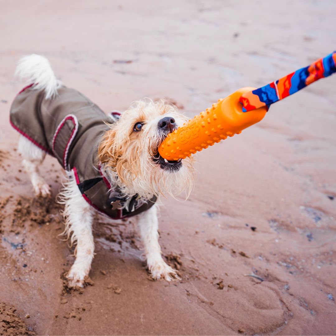BOB: The 3-in-1 Dog Dummy - The Bark Market