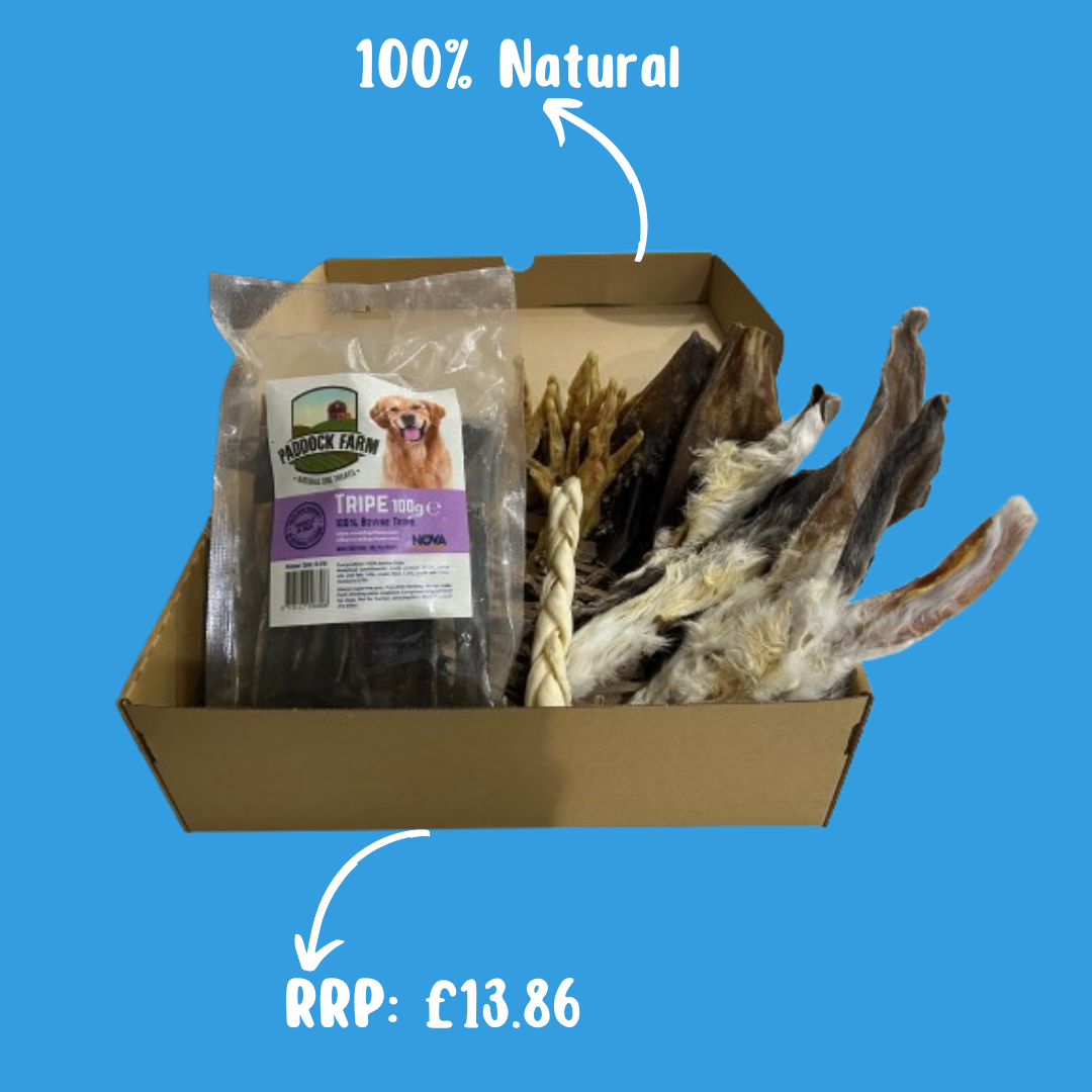 Natural Dog Treat Bundle - The Bark Market