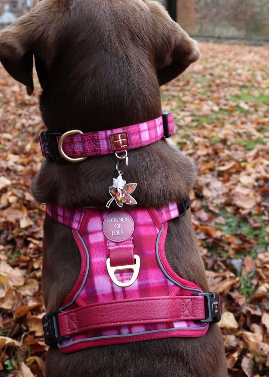 Rose Berry Plaid - Supaw Strong™ Lite Dog Harness (XS-XL) - The Bark Market