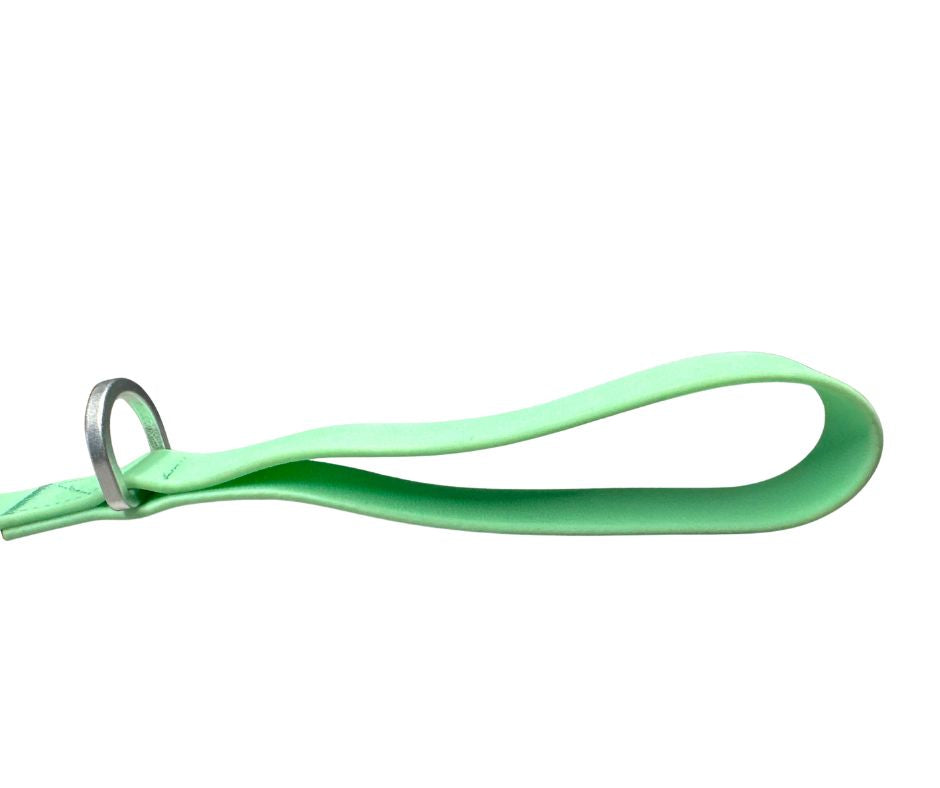 PVC BTactical™ Carabiner Clip Lead | Pastel Green - The Bark Market