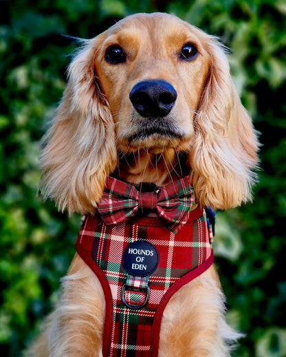 Tartan Me Up - Red & Cream Tartan Design Dog Harness - The Bark Market