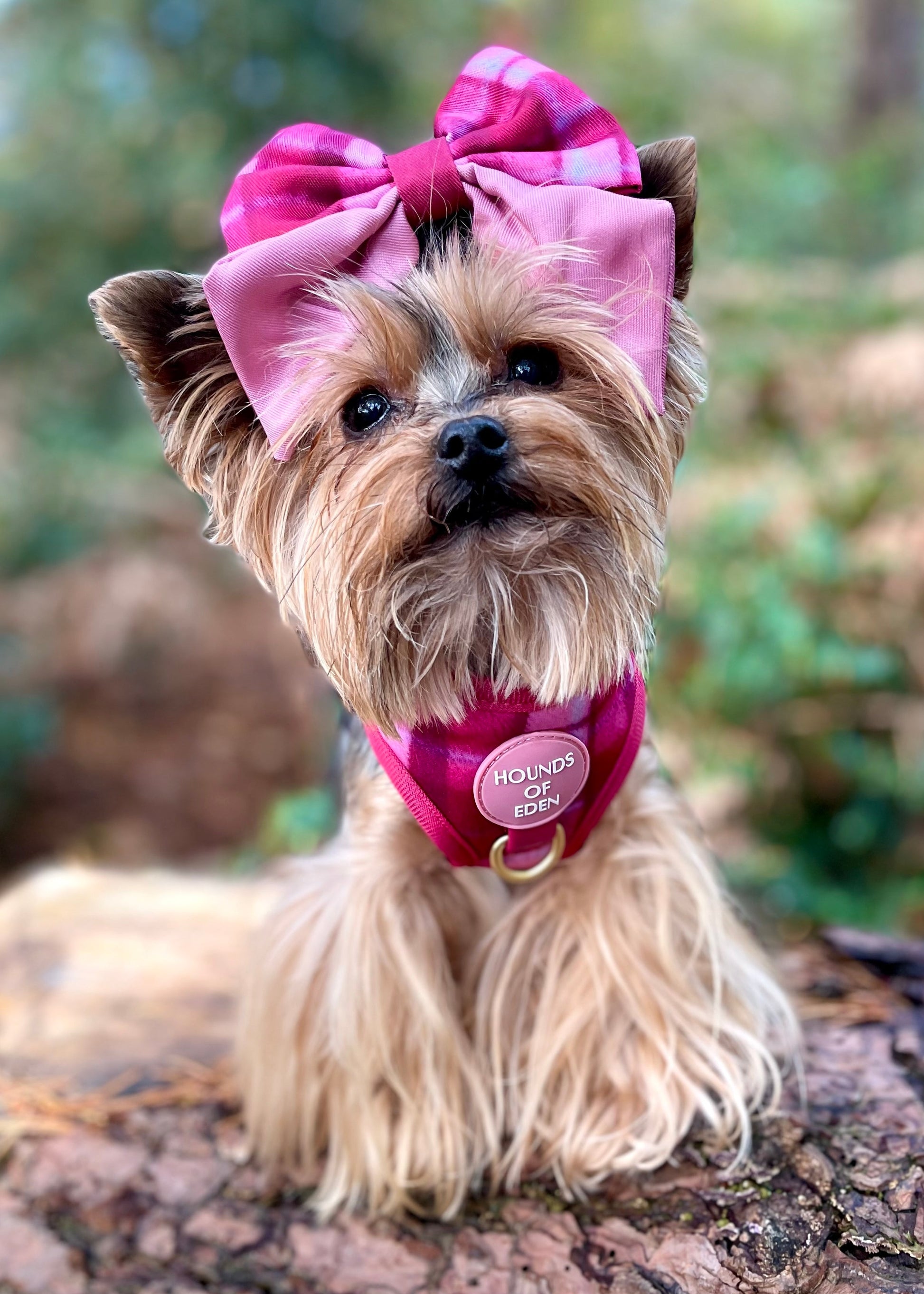 Rose Berry Plaid - Adjustable Dog Harness (XXS-XS) - The Bark Market