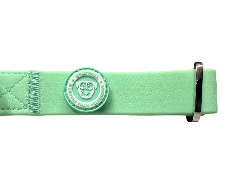 2.5cm PVC BTactical™ Collar | Pastel Green - The Bark Market