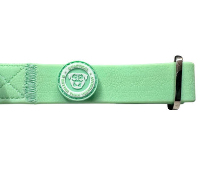 2.5cm PVC BTactical™ Collar | Pastel Green - The Bark Market