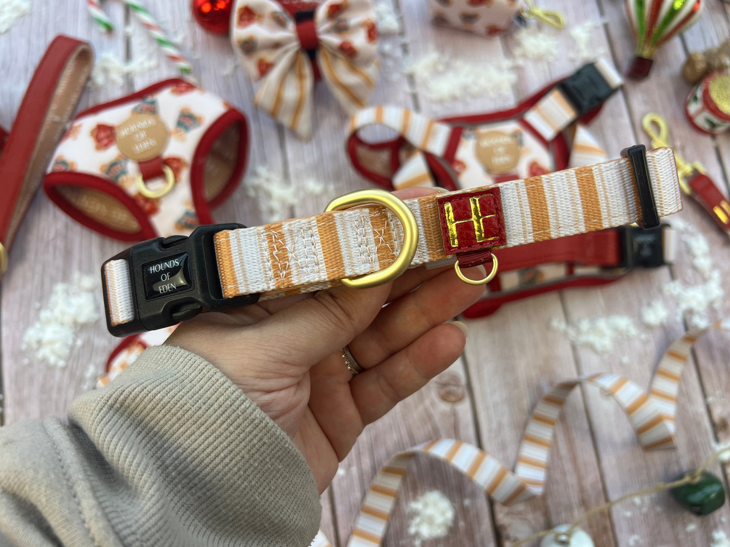 Harrold + Hattie Bears Dog Harness (XXS-XS) - The Bark Market