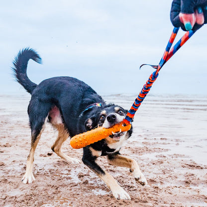 BOB: The 3-in-1 Dog Dummy - The Bark Market