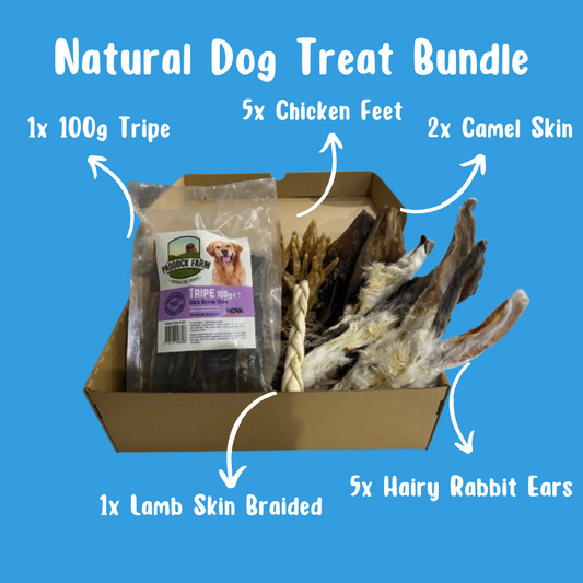 Natural Dog Treat Bundle - The Bark Market