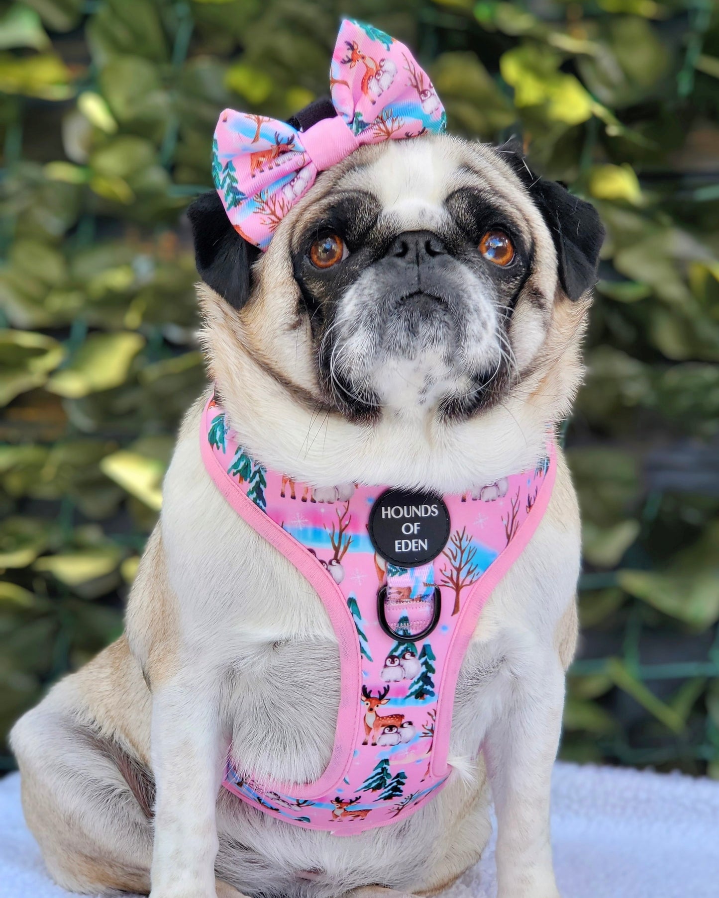 Aurora Nights - Pink Penguin Design Dog Harness - The Bark Market