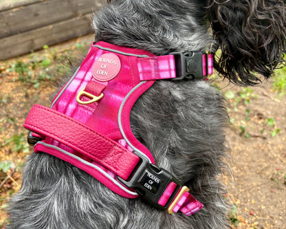 Rose Berry Plaid - Supaw Strong™ Lite Dog Harness (XS-XL) - The Bark Market