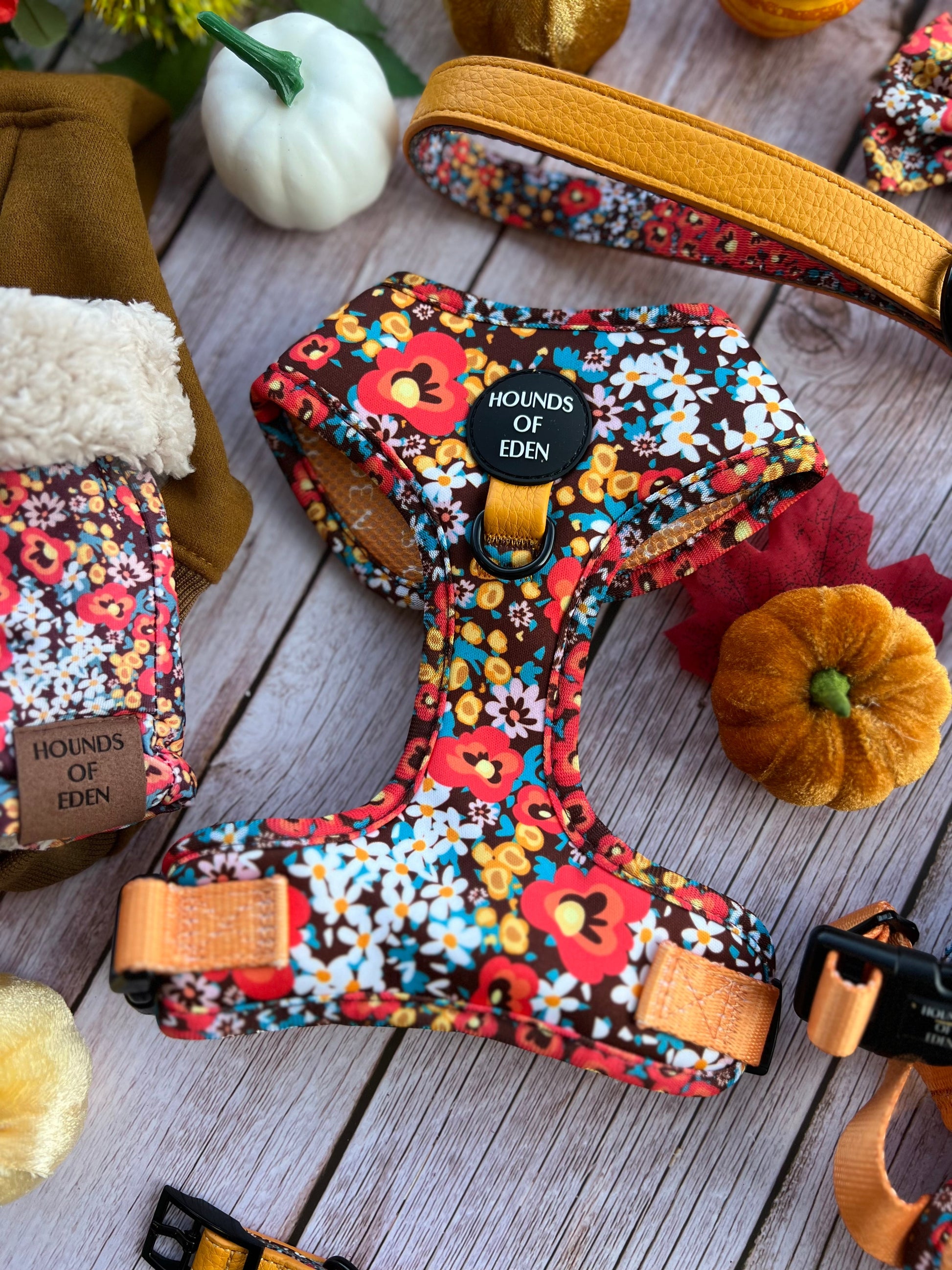 Retro Bloom Leather Dog Collar - The Bark Market