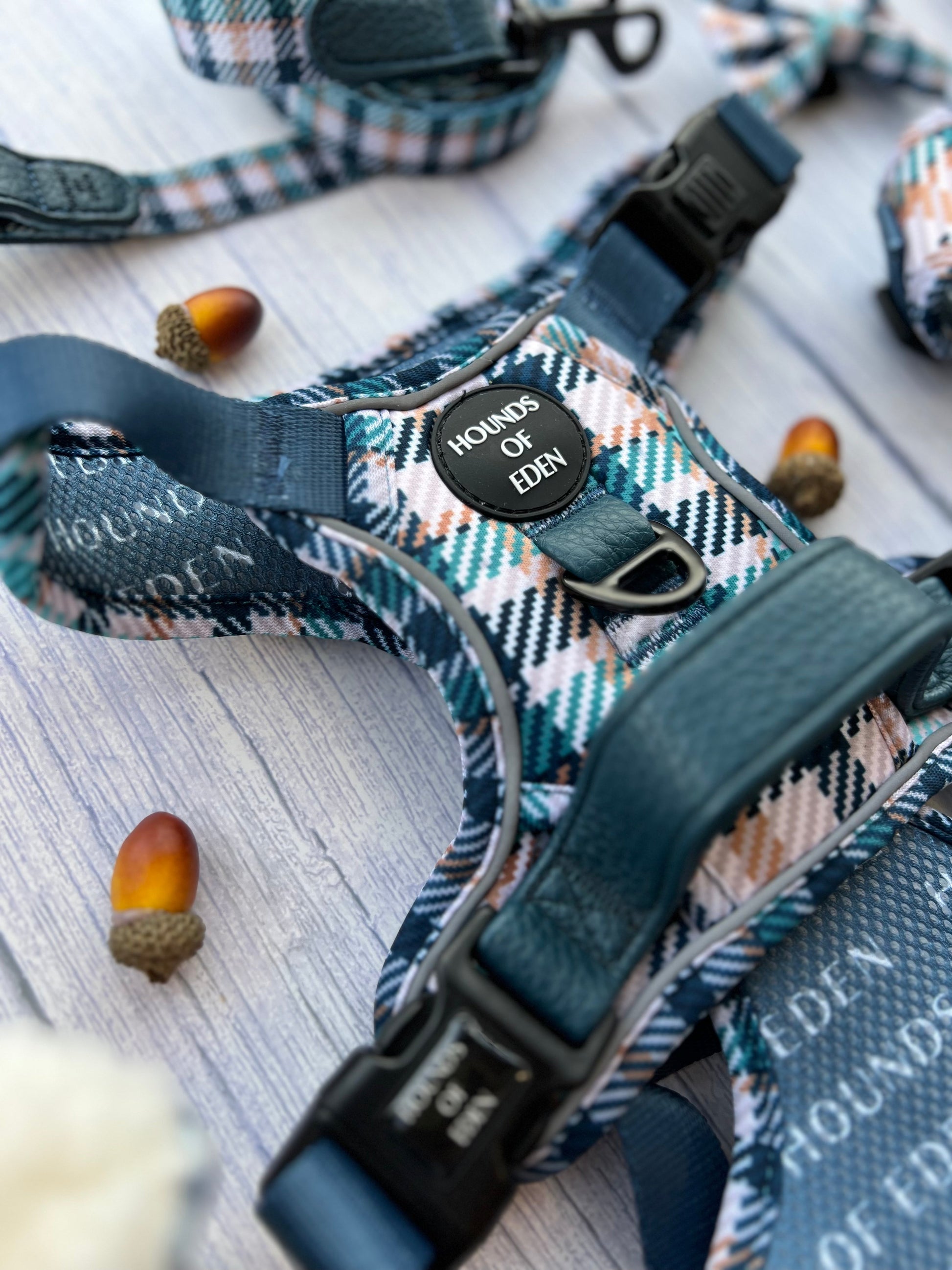 Tealing Smart Dog Supaw Strong Lite™ Harness (XS-XL) - The Bark Market