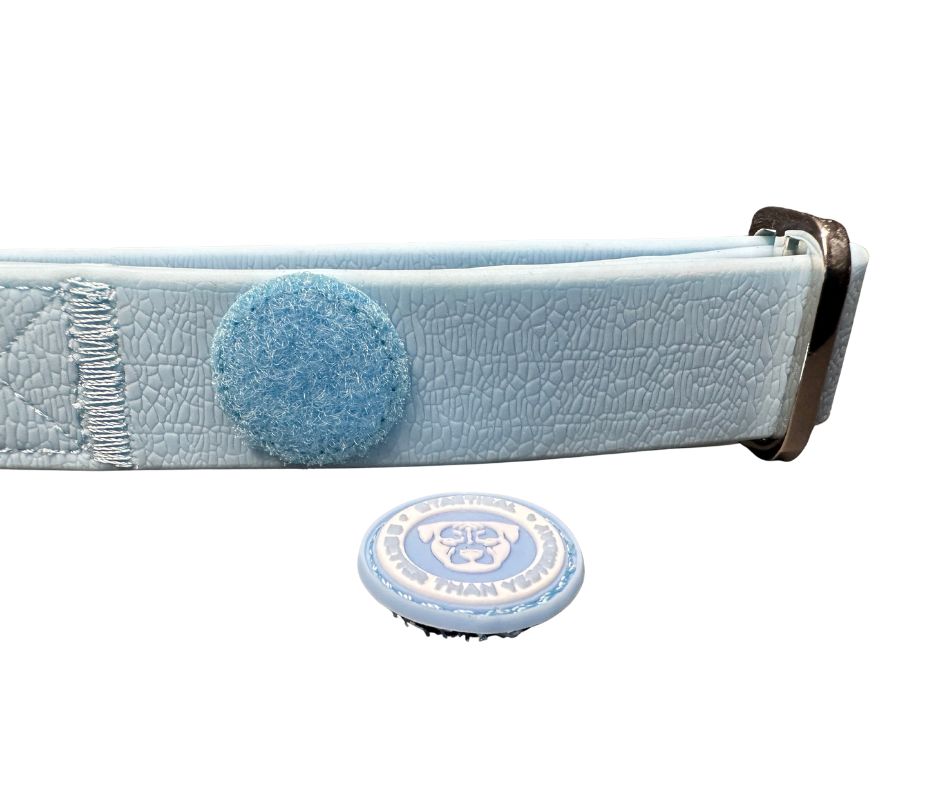 2.5cm PVC BTactical™ Collar | Pastel Blue - The Bark Market