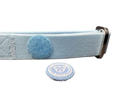 2.5cm PVC BTactical™ Collar | Pastel Blue - The Bark Market