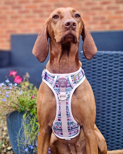 Bella's Jumper Supaw Strong Lite™ Dog Harness (XS-XL) - The Bark Market
