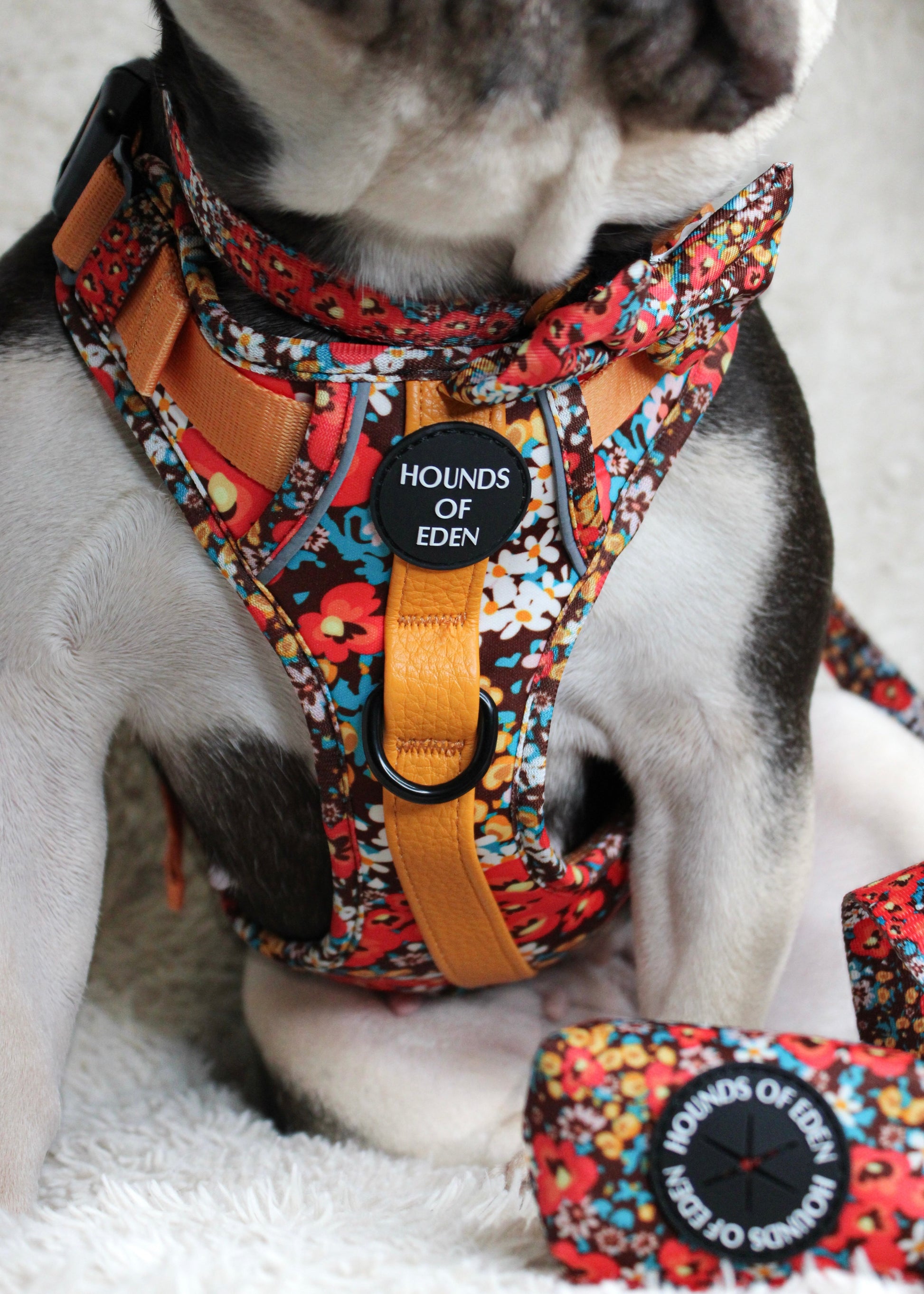 Retro Bloom Dog Supaw Strong Lite™ Harness (XS-XL) - The Bark Market
