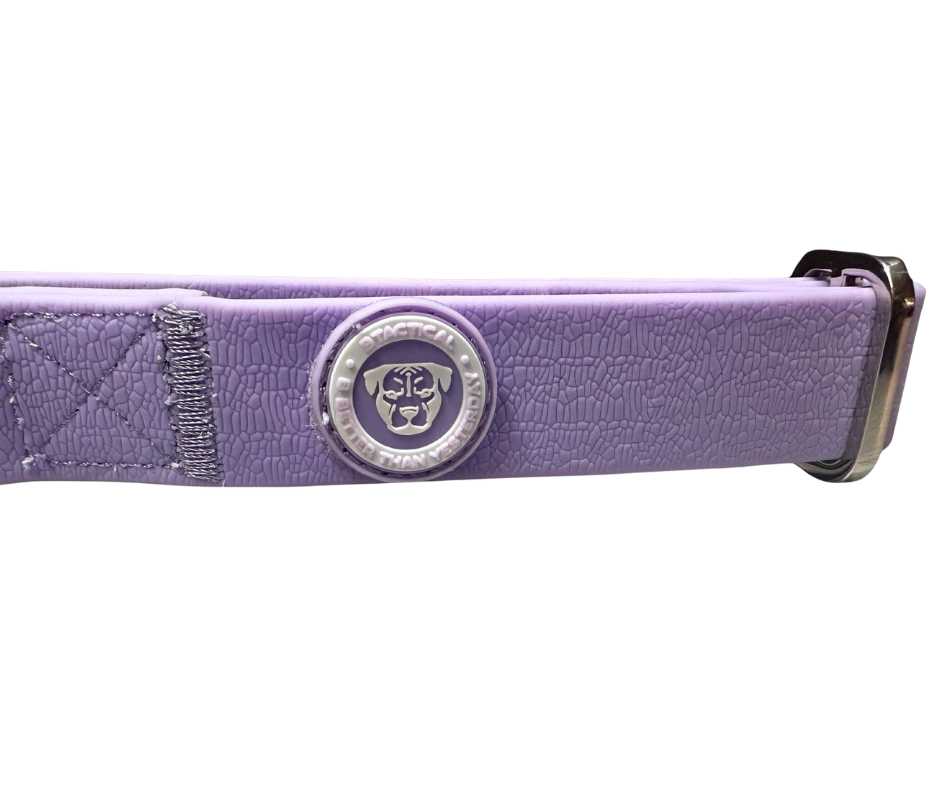2.5cm PVC BTactical™ Collar | Pastel Purple - The Bark Market