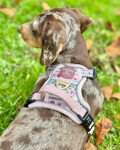 Bella's Jumper Supaw Strong Lite™ Dog Harness (XS-XL) - The Bark Market